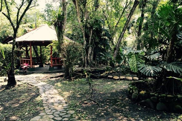 Zonas comunes. Zonas comunes.