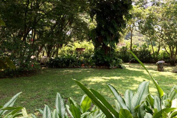 Zonas verdes. Zonas verdes.