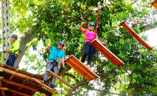 Puente Indiana Jones. Puente Indiana Jones.