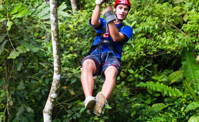 Canopy en Tobia Canopy entre árboles.
