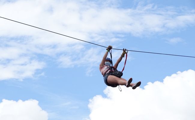 Canopy entre árboles