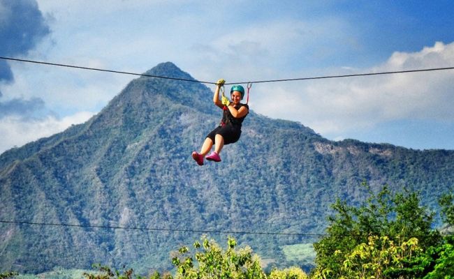 Canopy entre árboles. 