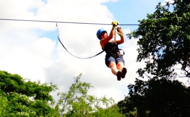 Canopy entre árboles. 