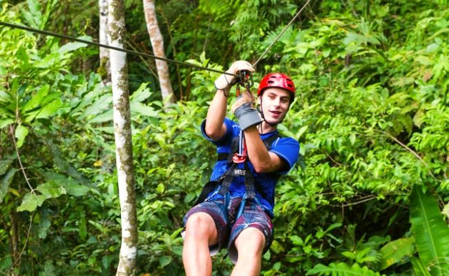 Canopy entre Àrboles Canopy entre Àrboles