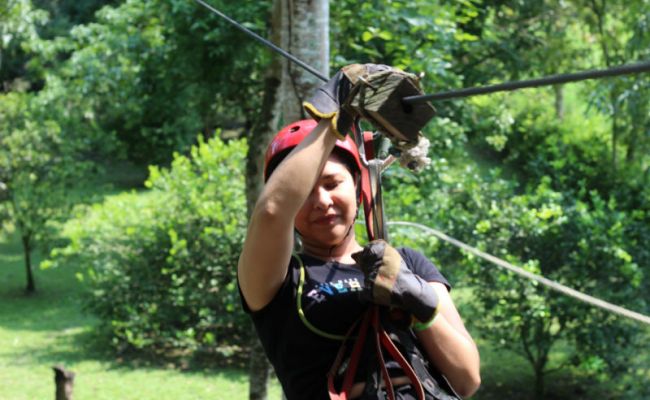 Canopy entre árboles.