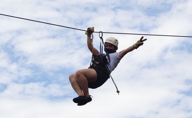 Canopy entre árboles