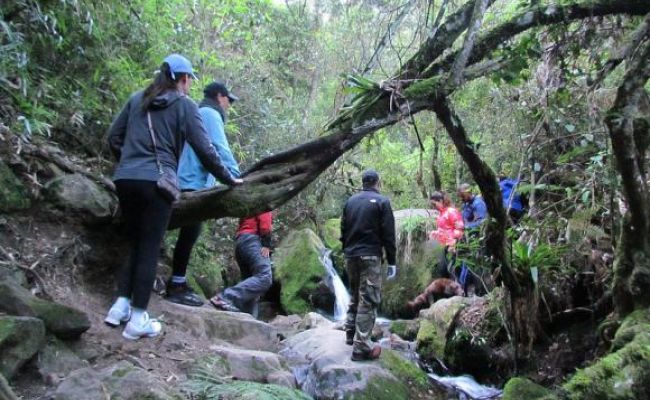 Canyoning por quebrada. Canyoning por quebrada.