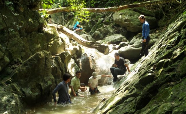 Caminata ecológica. Caminata ecológica.