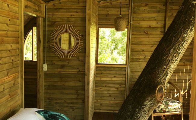 Casa en el Árbol - Habitación