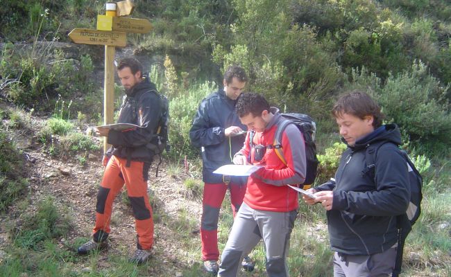 Trabajo en equipo - Análisis. Trabajo en equipo - Análisis.