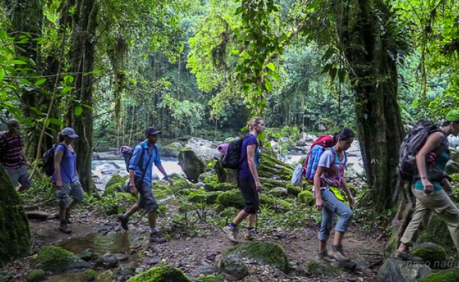 Cooperación multifuncional. Cooperación multifuncional.