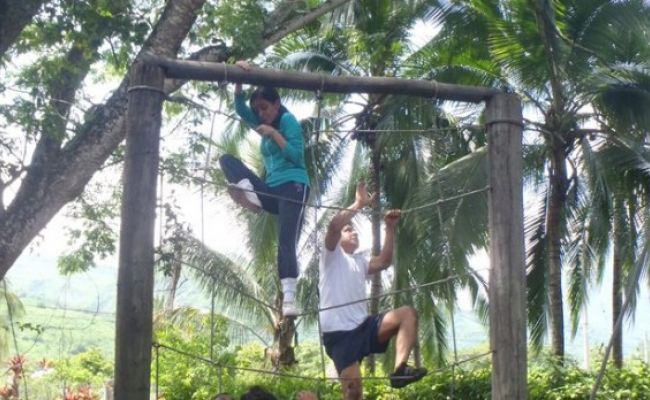 Telaraña. Telaraña.